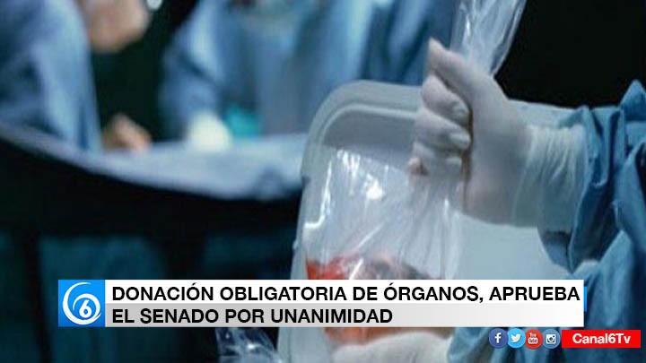 SENADO APRUEBA LA DONACIÓN DE ÓRGANOS OBLIGATORIA