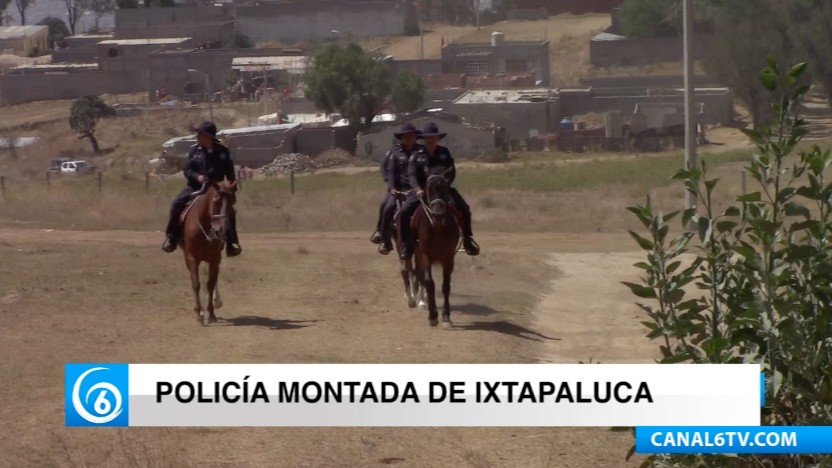 Policía montada protege los bosques y apoya a la población en zonas altas del municipio