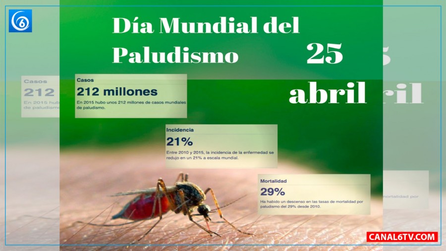 Día Mundial del Paludismo Preparados para vencer el Paludismo