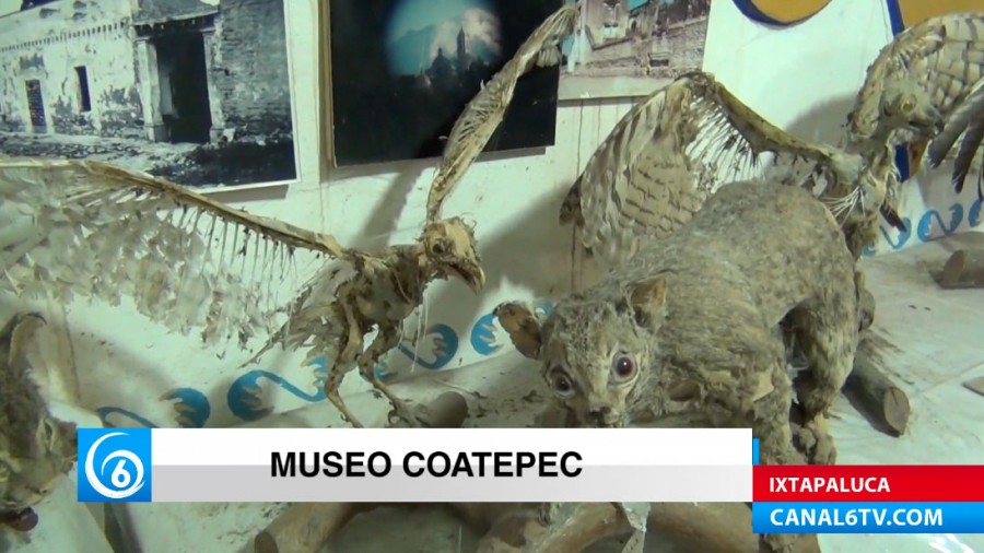 Conoce el Museo que se encuentra dentro de la Iglesia de Coatepec