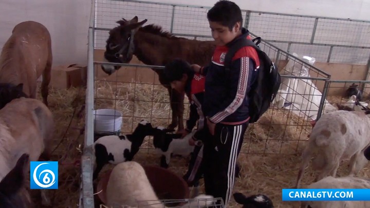 Conoce la Granja Didáctica en la Feria de Chimalhuacán