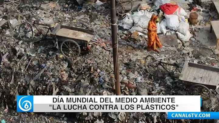 Día del Medio Ambiente; un mundo sin plásticos
