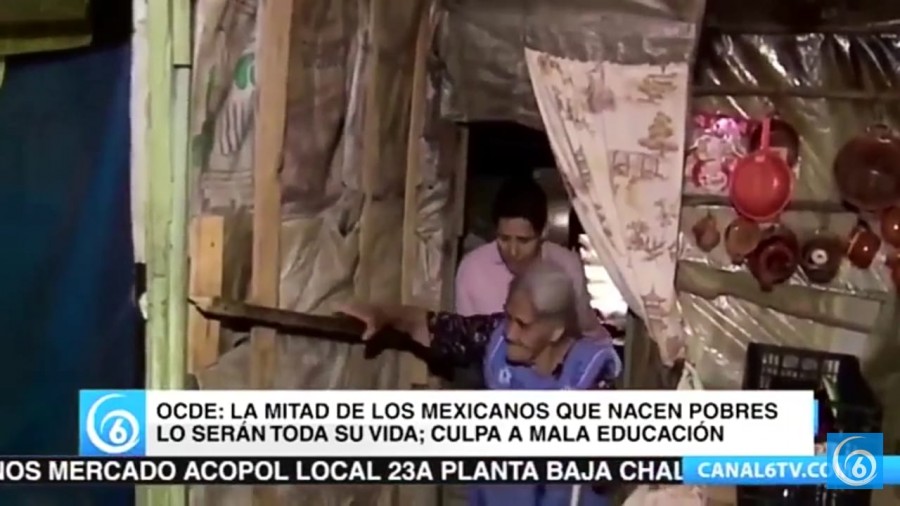 OCDE: La mitad de los mexicanos que nacen pobres lo serán toda la vida; culpa a la mala educación