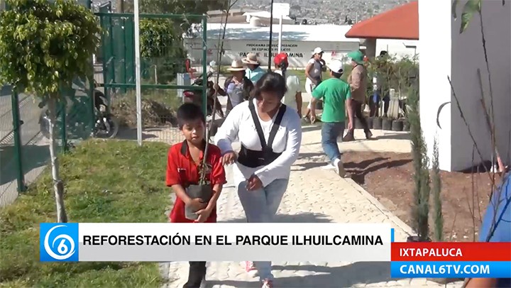 A través de la Dirección de Ecología de Ixtapaluca realizan reforestación en el parque Ilhuilcamina