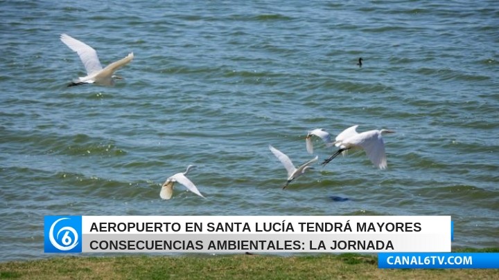 Aeropuerto en Santa Lucía tendrá mayores consecuencias ambientales: La Jornada