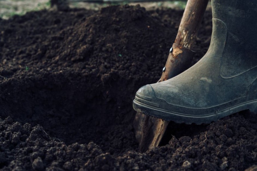 Madre encuentra a su hijo intentando enterrar a su hermano en el jardín de la casa