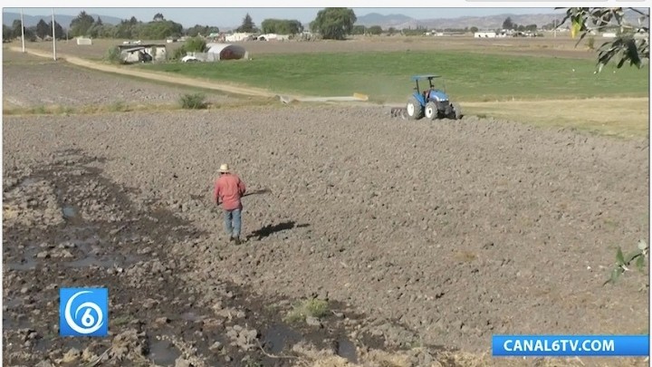 La hambruna que existe en el campo mexiquense