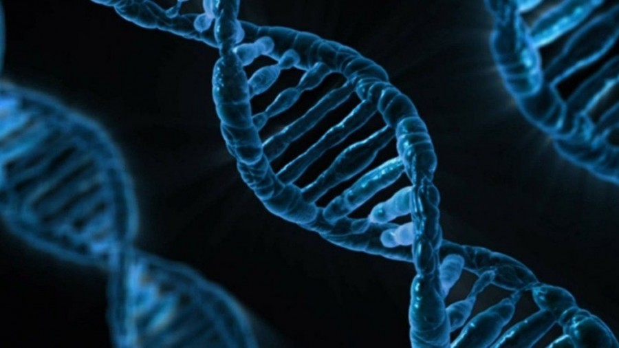 Investigadores rusos utilizan células de ADN para combatir el cáncer