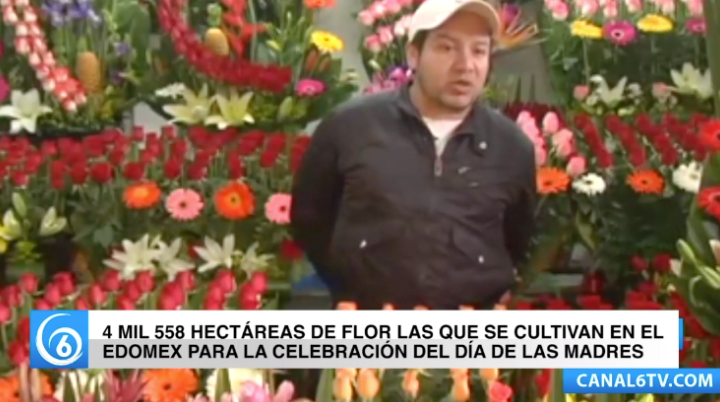 Sabías que para regalar a las mamás en este día se cultivan más de 4 mil hectáreas de flores en el Estado de México