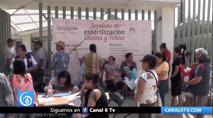 Chicoloapan 120 animales fueron beneficiados con intervenciones quirúrgicas en la séptima jornada de esterilización