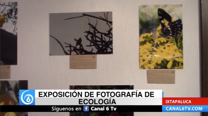 En el municipio de Ixtapaluca se llevó a cabo el primer concurso de fotográfica Naturaleza Ixtapaluca 2019