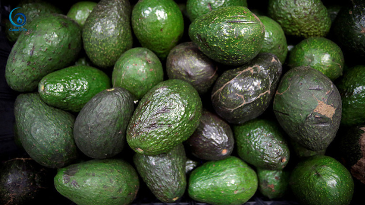 Aguacate se vende hasta en 80 pesos