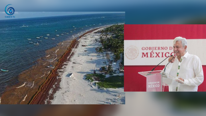 La crisis del sargazo en Quintana Roo no es gravísimo