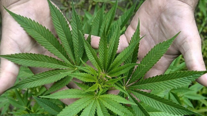 Le plantan droga para despojarle de su domicilio