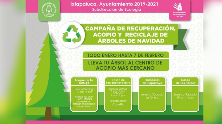 Aún queda tiempo para que recicles tu árbol de navidad