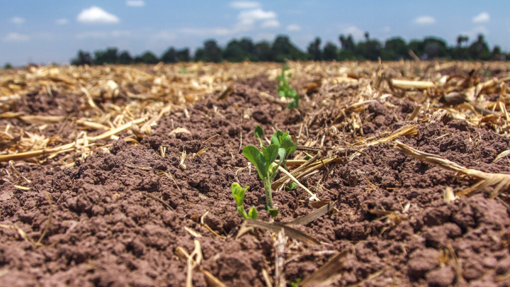Sader realiza foro para fomentar prácticas agrícolas sustentables