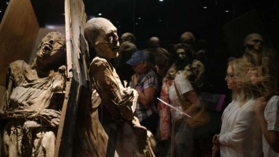 22 momias históricas desaparecidas en Guanajuato