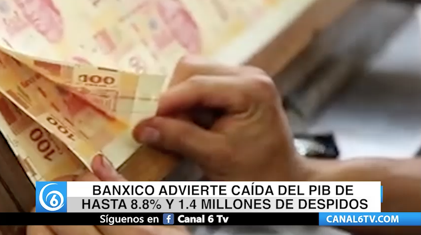 Banxico advierte caída del PIB de hasta 8.8% y 1.4 millones de despidos