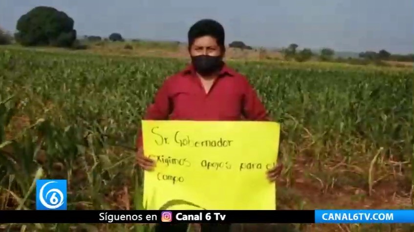 Gobierno de Veracruz deja sin apoyos a campesinos de la Sierra de Soteapan