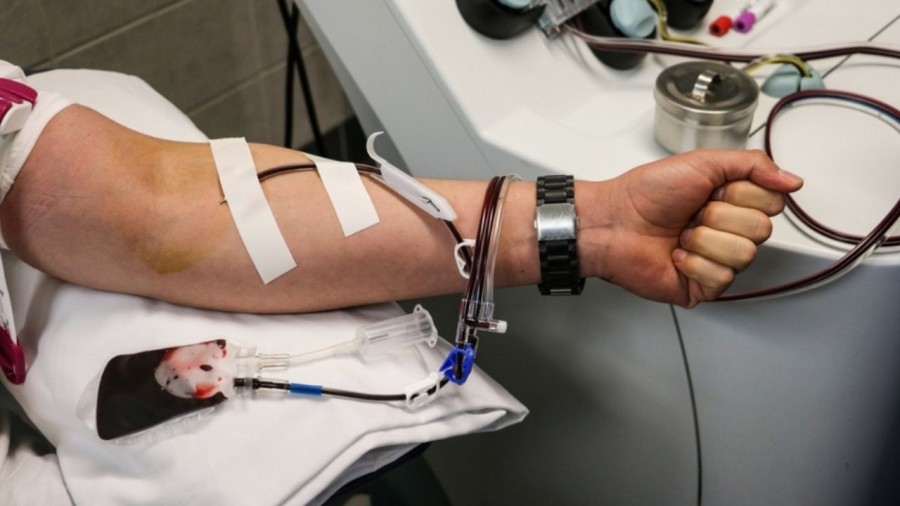 Actualmente el 60% de los pacientes en un hospital mueren solos