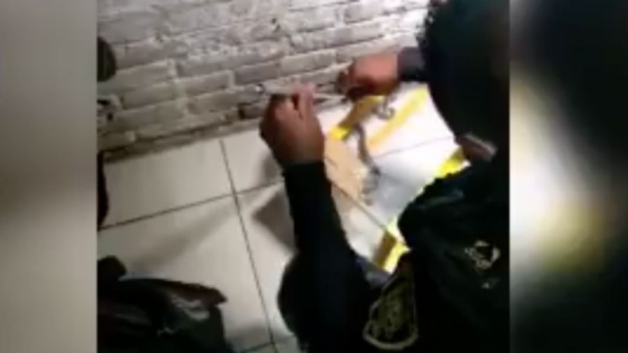 Víbora de cascabel ataca en un hospital de la CDMX