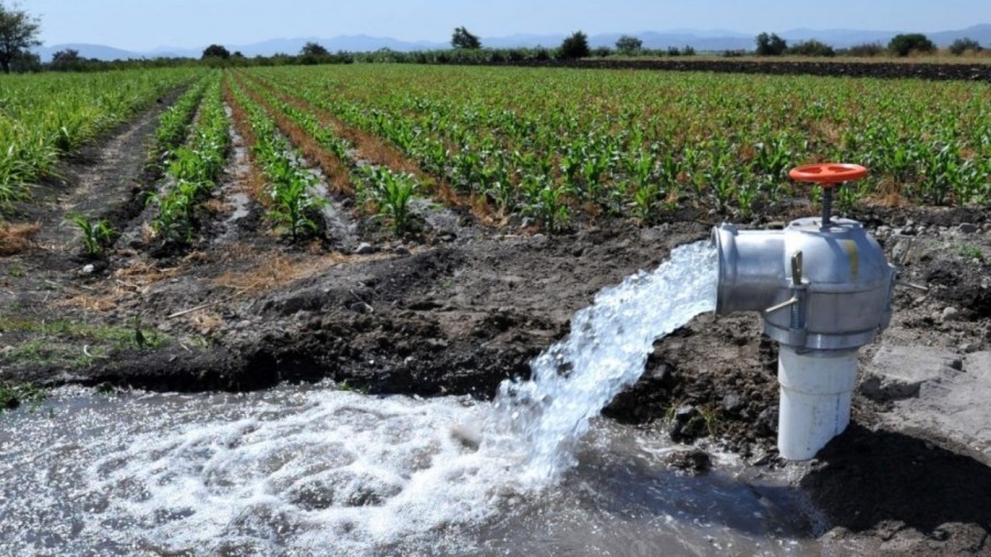 Acusan a familia de nogaleros de acaparamiento de agua en Chihuahua
