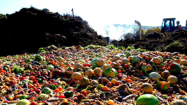 ¡Alarmante! se desperdicia un tercio de los alimentos producidos mundialmente