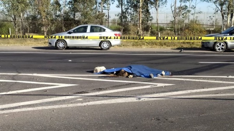 Arrollan a mujer sobre la autopista Peñón-Texcoco