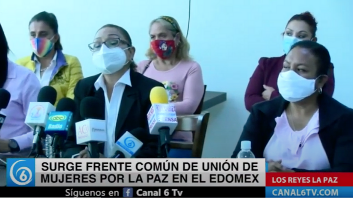 Surge frente común de unión de mujeres por la paz en el Edomex