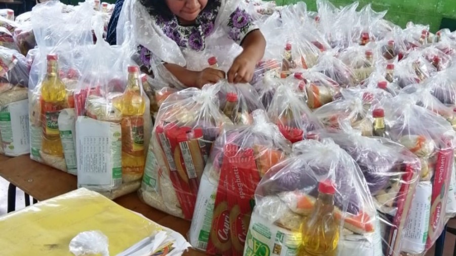 40% de los programas sociales tienen un desempeño escaso