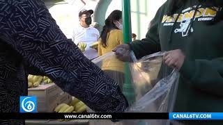 Grupo Acción Ciudadana Ixtapaluca entrega despensas verdes