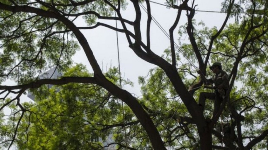 Cuelgan y matan a golpes a hombre en Ocoyoacac