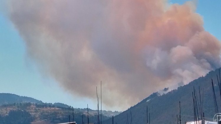 Incendio forestal consume seis hectáreas de bosque en Huixquilucan