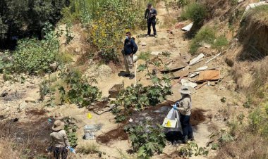 Encuentran ocho cuerpos en dos fosas clandestinas en Tijuana