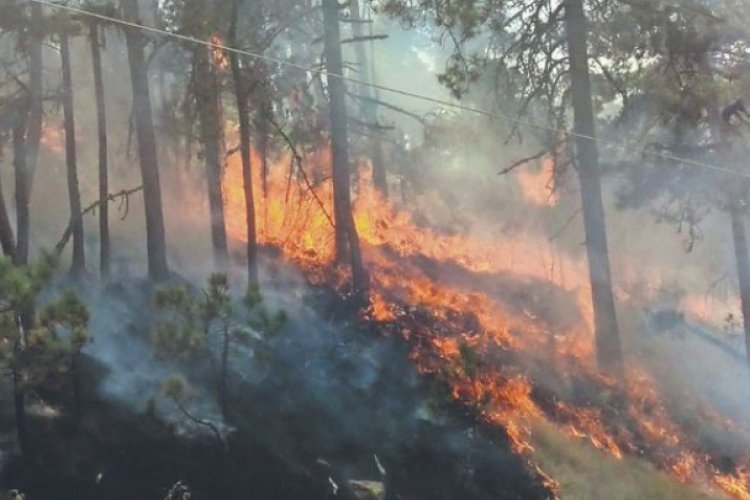 Suman 10 incendios forestales activos en Edomex