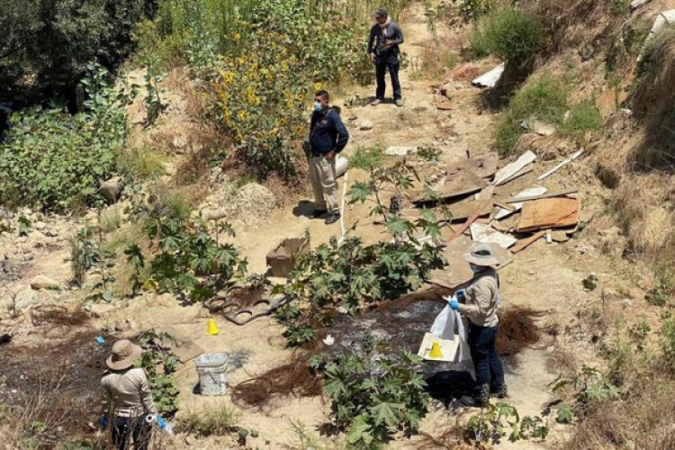 Encuentran ocho cuerpos en dos fosas clandestinas en Tijuana