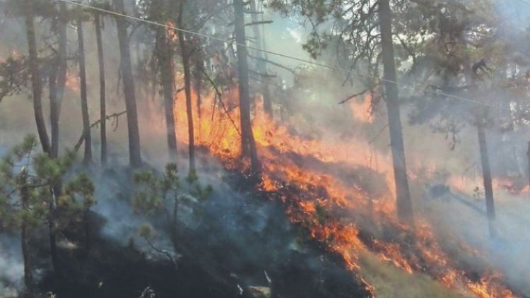 Suman 10 incendios forestales activos en Edomex