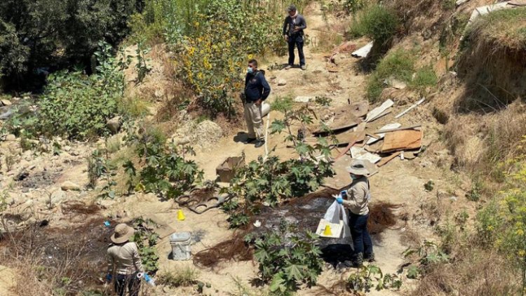 Encuentran ocho cuerpos en dos fosas clandestinas en Tijuana