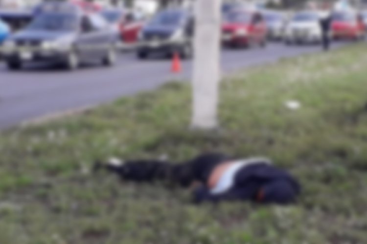 Hombre muere atropellado en Av. central, en Nezahualcóyotl