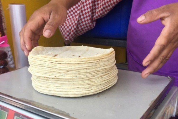 En tan solo dos meses, precio de tortilla aumentó 15.1 por ciento