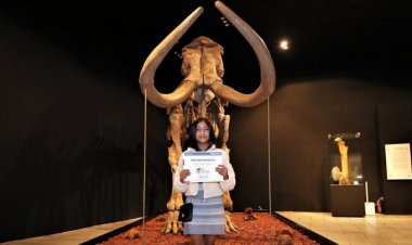 Ya tiene nombre el mamut del museo de Antropología e Historia en Toluca