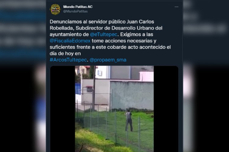 Intentan justificar asesinato de perro en Tultepec; FGJEM investiga