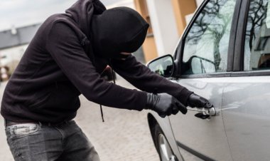 ¿Tu auto está entre los favoritos de los ladrones? ¡Descúbrelo!