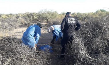 Hallan 14 fosas en Sonora con cuerpos calcinados