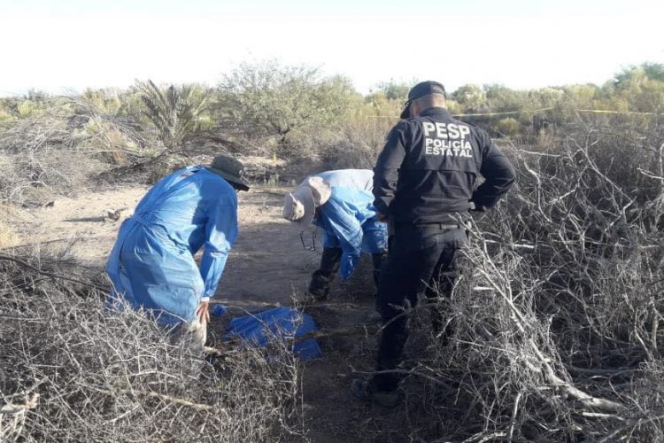 Hallan 14 fosas en Sonora con cuerpos calcinados