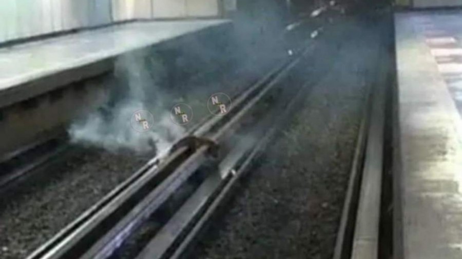 Perrito se electrocuta en la Línea 5 de Metro