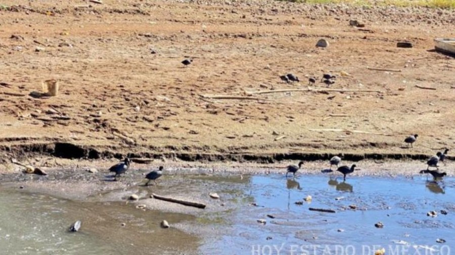 Presa mexiquense reportó el llenado más bajo en 13 meses