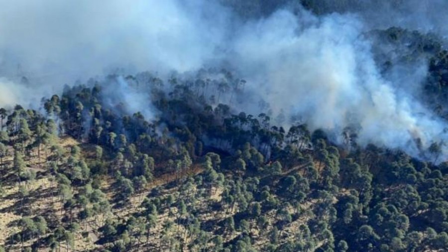 GEM combate reactivación de incendio en el Nevado de Toluca