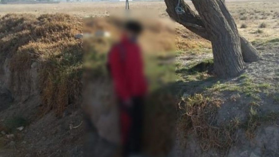 Joven se cuelga de un árbol en el EdoMex