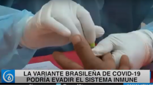 La variante brasileña de COVID-19 podría evadir el sistema inmune